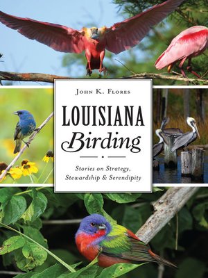 cover image of Louisiana Birding